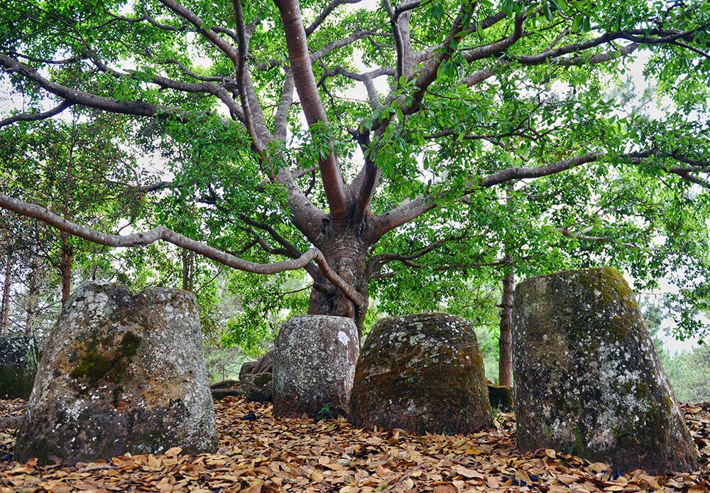 Plain of Jars Archaeological Site