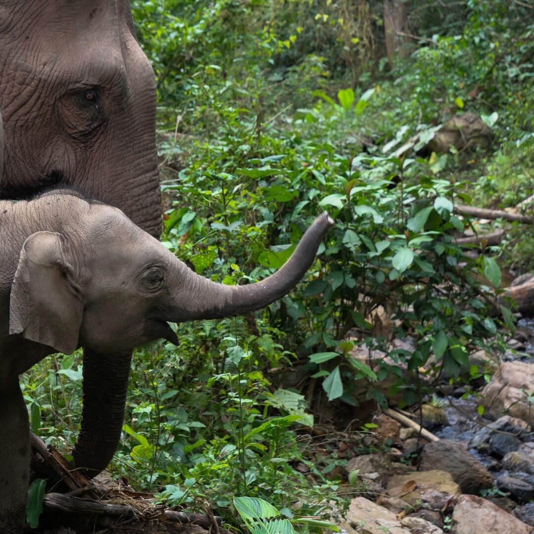 Exploring Southeast Asia