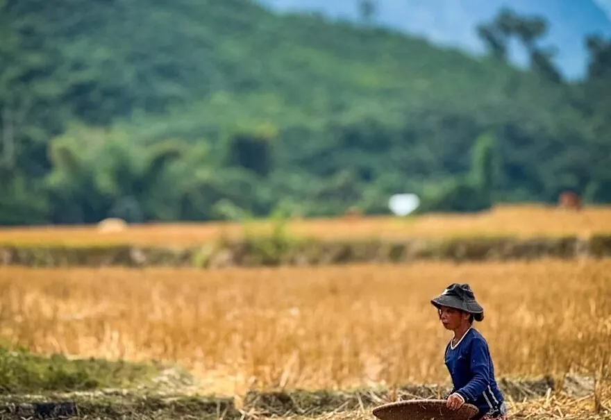 Laos Meilleure Période