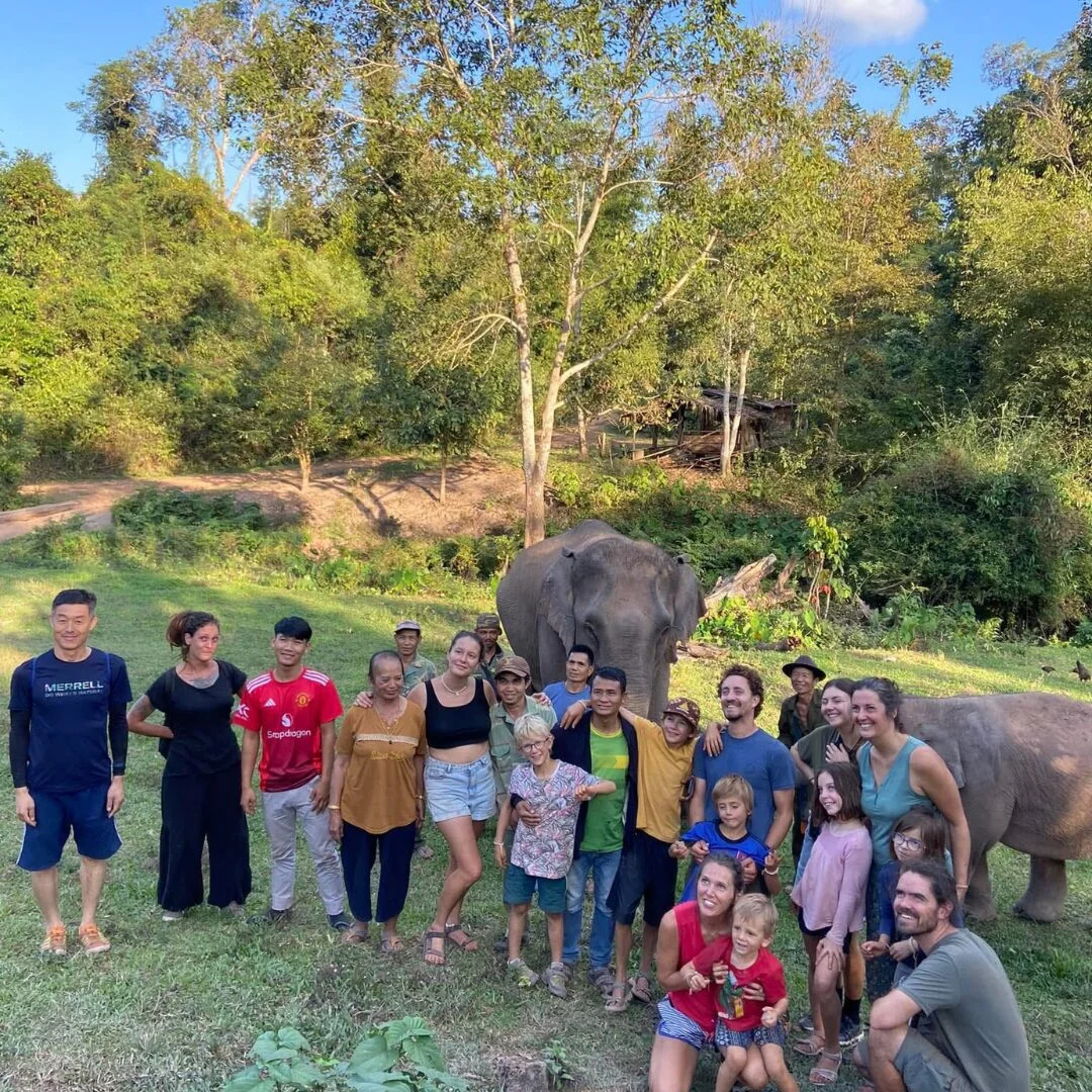 Elephant Sanctuary Laos