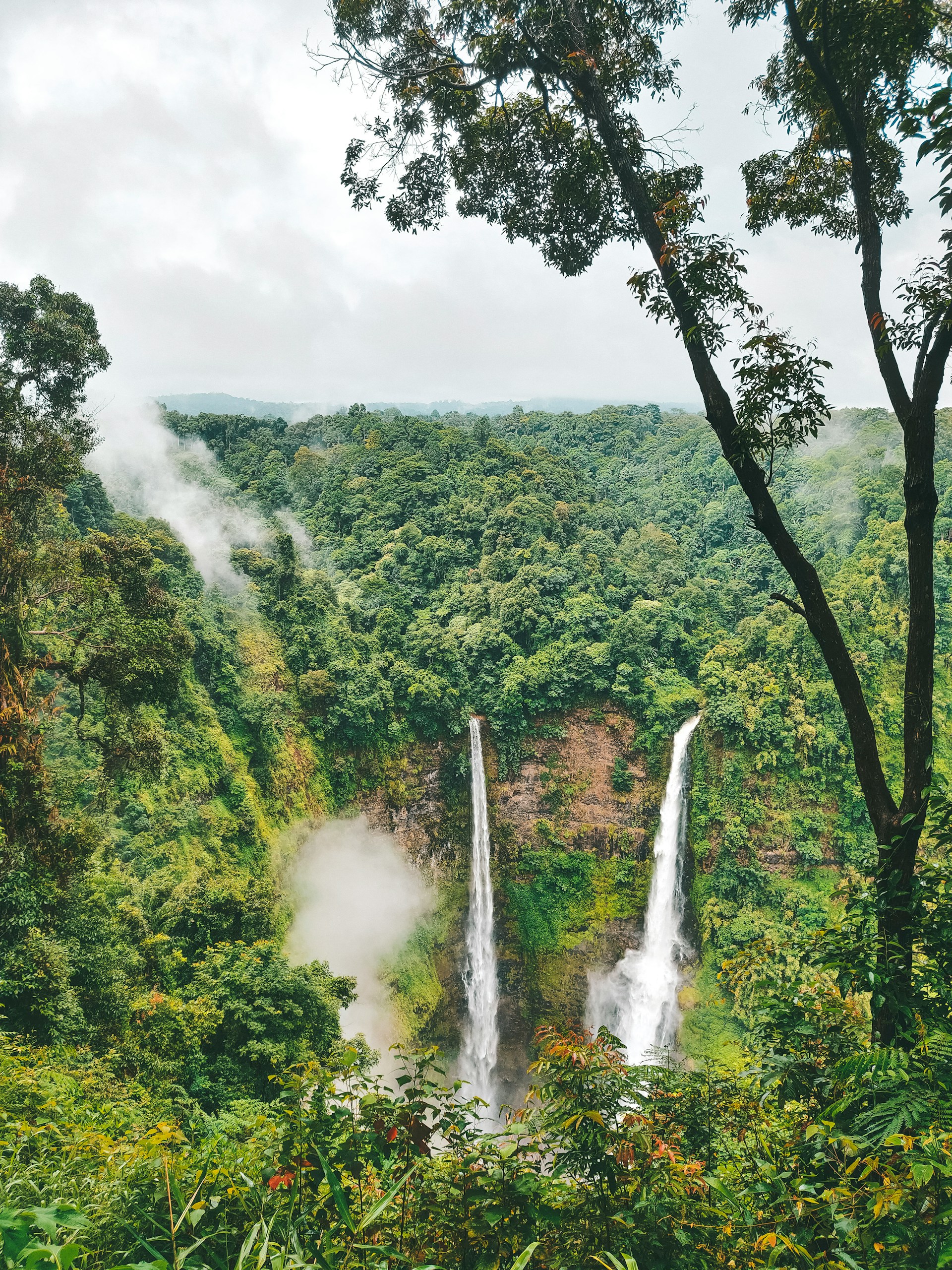 Jungle Trekking Northern Laos