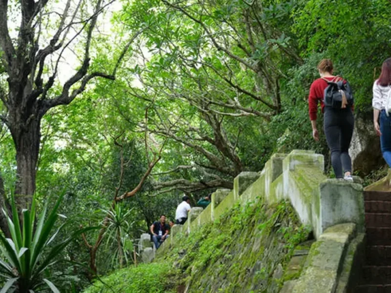 Travelers hiking through lush forest in Laos on an active cultural trekking journey.